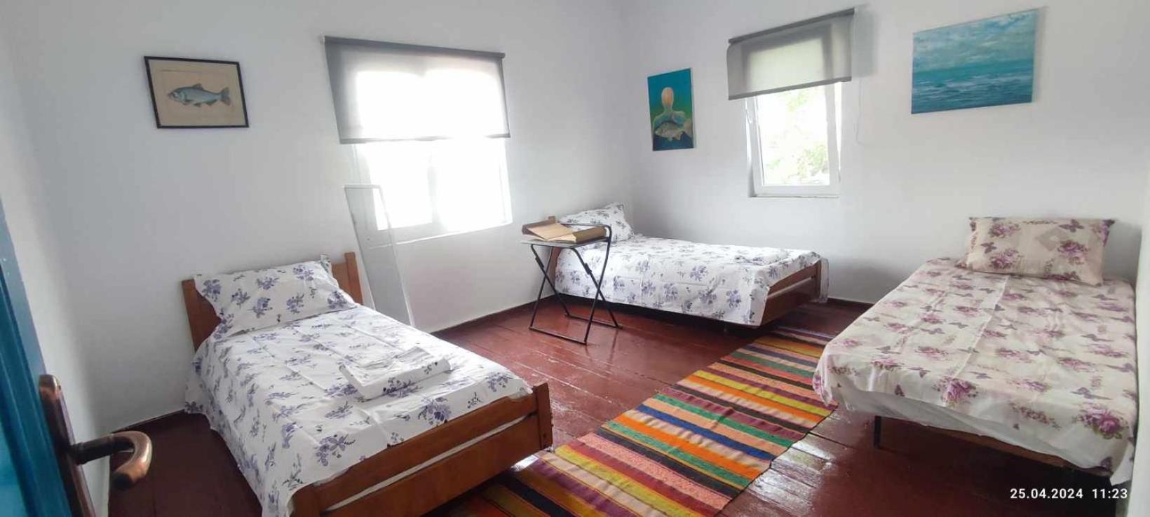 Stuffstock Hostel 苏利纳 外观 照片